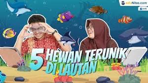 Pendidikan Sains: Eksperimen Seru Belajar Tentang Kehidupan Ikan